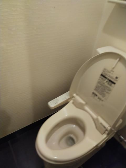 ホテル パル新宿店(新宿区/ラブホテル)の写真『６０３号室　トイレ』by もぐたんっ