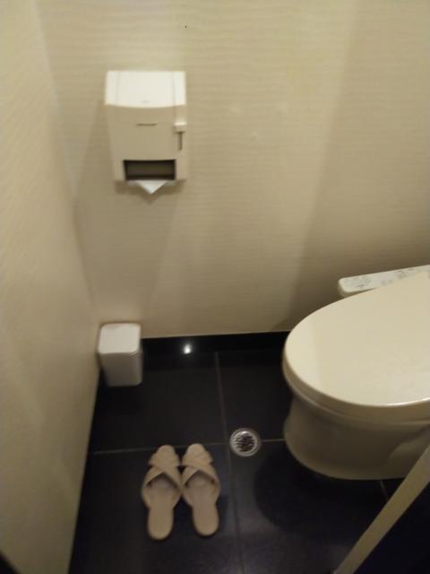 ホテル パル新宿店(新宿区/ラブホテル)の写真『６０３号室　トイレ　シンプル』by もぐたんっ