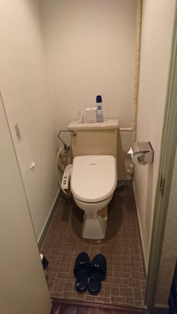 ホテルスマイル(豊島区/ラブホテル)の写真『302号室 洗面所の向かいにトイレ』by なめろう