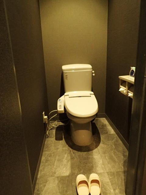 ハイビスカス リゾート&ビジネス(小山市/ラブホテル)の写真『201号室 トイレ』by ないとん
