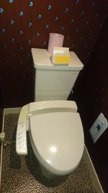 ル・サンチェ富里(富里市/ラブホテル)の写真『203号室トイレ』by よしお440