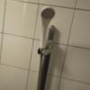Asian P-Door(アジアンピードア)(台東区/ラブホテル)の写真『303号室　浴室シャワーヘッド』by もぐたんっ