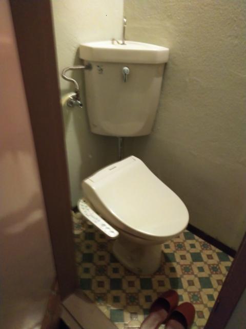 HOTEL SUEHIRO 本館(台東区/ラブホテル)の写真『302号室　レトロ模様の床が印象的なトイレ』by もぐたんっ