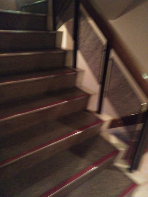 HOTEL SUEHIRO 本館(台東区/ラブホテル)の写真『階段も昔ながらの作りなのでしっかりしてる』by もぐたんっ
