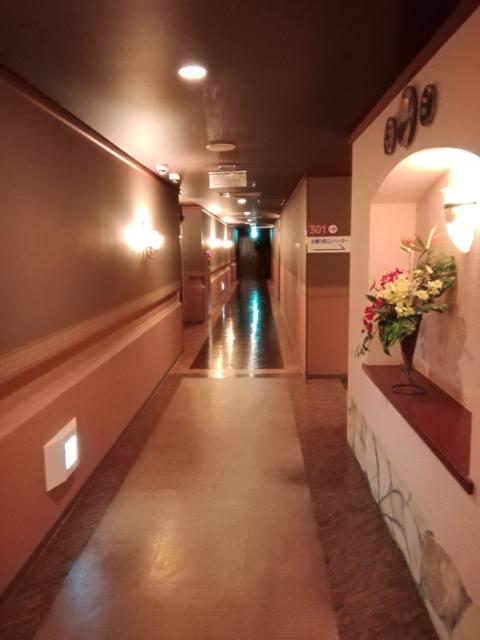 Mermaid（マーメイド）(三浦市/ラブホテル)の写真『３階の廊下です。(20,10)』by キジ