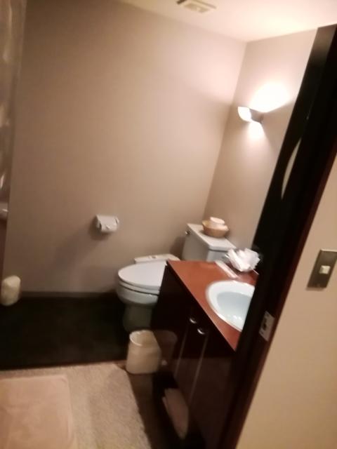 Mermaid（マーメイド）(三浦市/ラブホテル)の写真『302号室利用(20,10)洗面所とトイレが一緒です。』by キジ