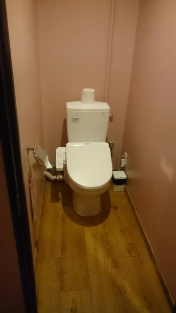 マンゴスチンホテル(町田市/ラブホテル)の写真『514号室のトイレ。ウォシュレット。』by angler