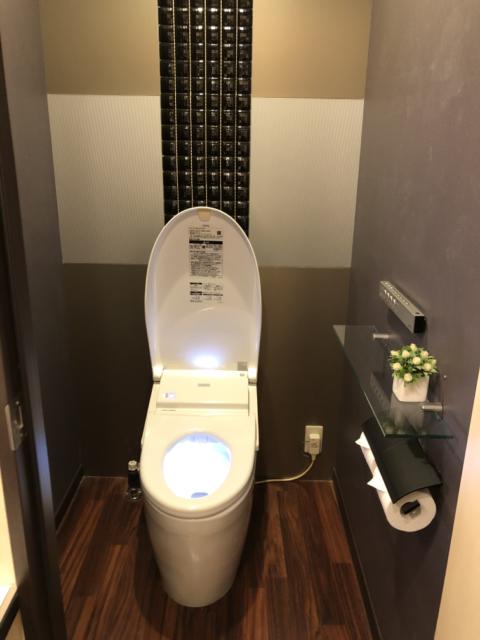 HOTEL アスタプロント(浜松市/ラブホテル)の写真『211号室トイレ』by 一刀流