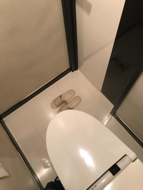 HOTEL SERA APio（セラアピオ）(台東区/ラブホテル)の写真『323号室のトイレ②』by 少佐
