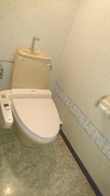 ホテル レモンツリー富里(富里市/ラブホテル)の写真『207号室トイレ』by よしお440