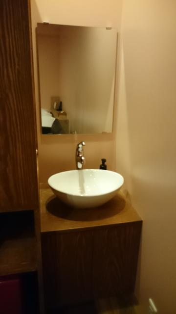 マンゴスチンホテル(町田市/ラブホテル)の写真『507号室の小さな洗面台 ソファの位置が悪く使いにくい』by angler
