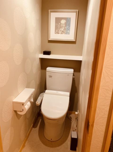 HOTEL G-Style(豊島区/ラブホテル)の写真『401号室のトイレ』by miffy.GTI