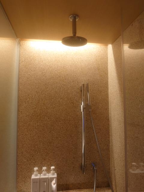 KOYADO HOTEL(台東区/ラブホテル)の写真『3号室　シャワー　出口は頭上にもアリ』by momomo