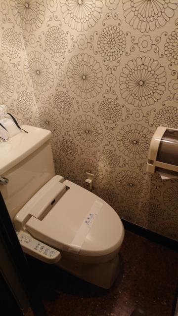 モンリーヴ(川口市/ラブホテル)の写真『501号室 トイレ』by 舐めたろう