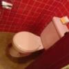 ミンク町田(相模原市/ラブホテル)の写真『502号室 トイレ ウォシュレットはありません。(+_+)』by angler