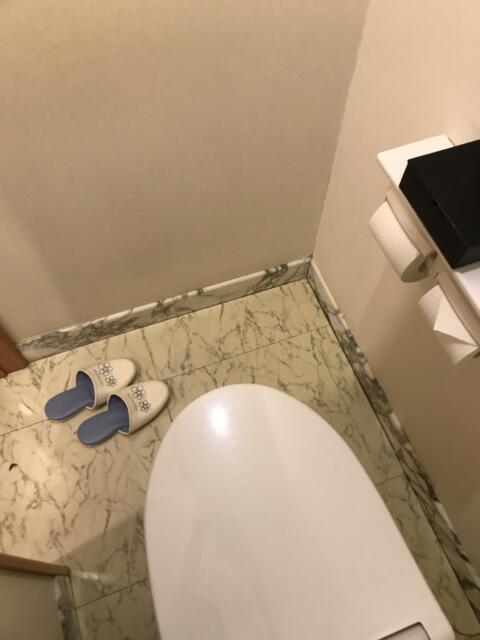 新宿ジャルディーノ(新宿区/ラブホテル)の写真『106号室のトイレ②』by 少佐