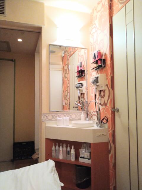 ビアンカドゥエ(豊島区/ラブホテル)の写真『301号室 部屋の一角に作られた洗面所』by なめろう