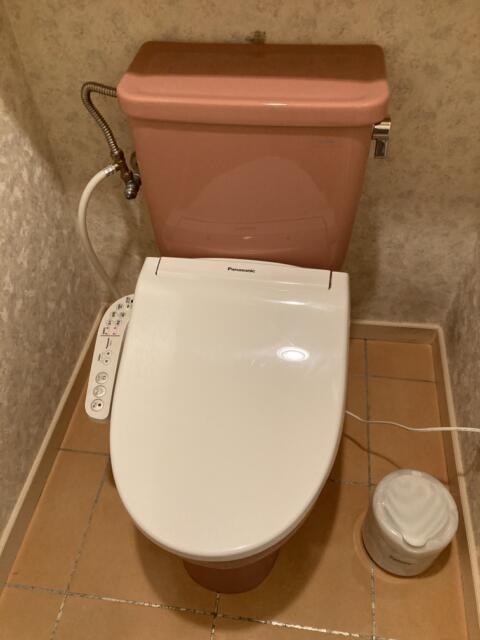 ファインガーデン松阪２店(松阪市/ラブホテル)の写真『221号室　トイレ』by まさおJリーグカレーよ