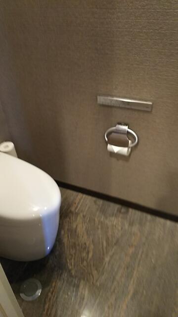 トキワ WEST（ニュートキワ）(豊島区/ラブホテル)の写真『503のトイレ』by ささきせいじ