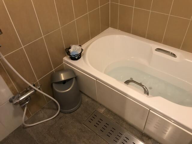 HOTEL ZEBRA（ゼブラ)(豊島区/ラブホテル)の写真『504 浴槽』by 初心者_蓮