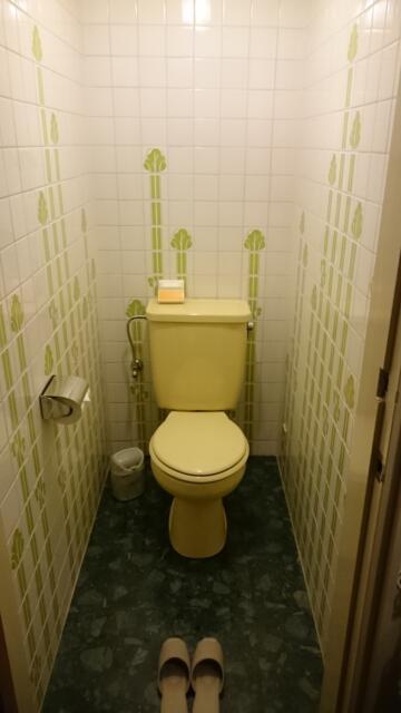 ミンク町田(相模原市/ラブホテル)の写真『403号室のトイレ ウォシュレットなし。』by angler
