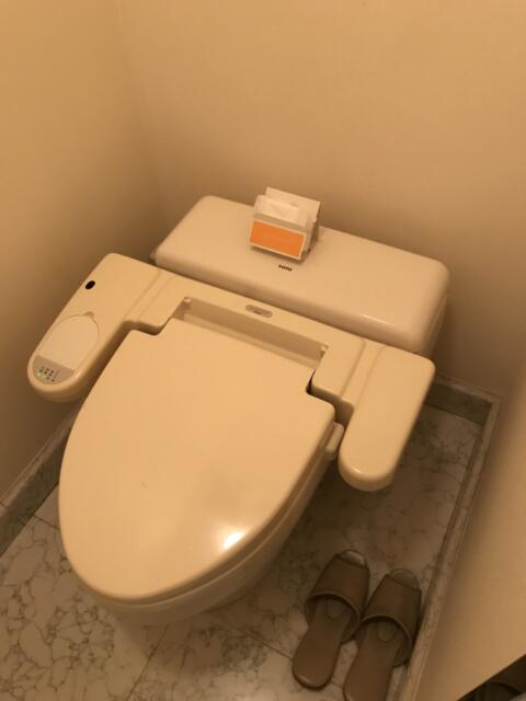 アランド新宿(新宿区/ラブホテル)の写真『307号室のトイレ②』by 少佐