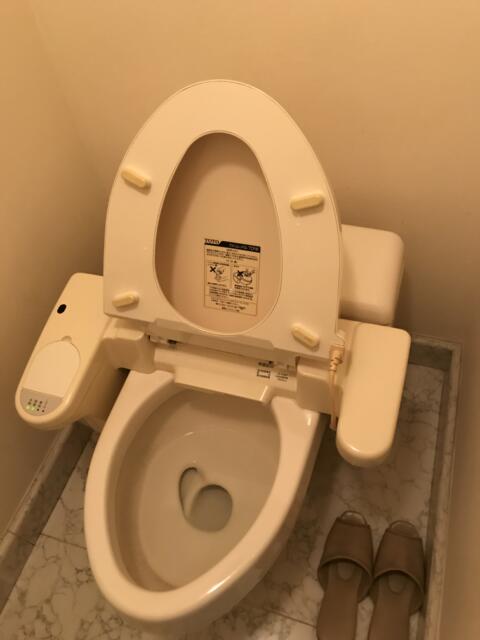 アランド新宿(新宿区/ラブホテル)の写真『307号室のトイレの便器』by 少佐