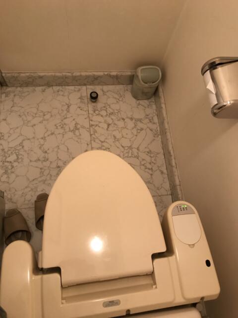 アランド新宿(新宿区/ラブホテル)の写真『307号室のトイレ③』by 少佐