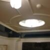 ミンク町田(相模原市/ラブホテル)の写真『307号室の天井灯 明るいけれど眩しくはない。』by angler