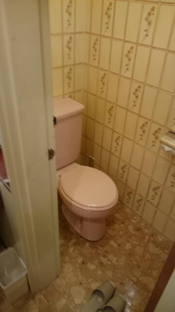 ミンク町田(相模原市/ラブホテル)の写真『307号室のトイレ ウォシュレットがありません。(+_+)』by angler