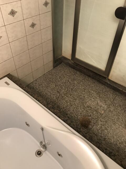 アランド新宿(新宿区/ラブホテル)の写真『210号室の浴室④』by 少佐