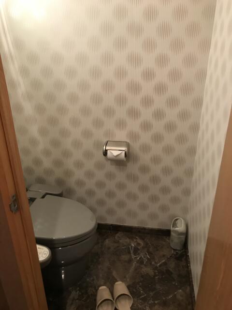 アランド新宿(新宿区/ラブホテル)の写真『210号室のトイレ①』by 少佐