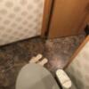 アランド新宿(新宿区/ラブホテル)の写真『210号室のトイレ④』by 少佐
