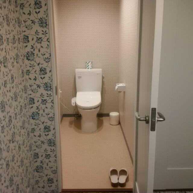 ホテルシティ(立川市/ラブホテル)の写真『501号室トイレ（扉からすごい遠い）』by 市
