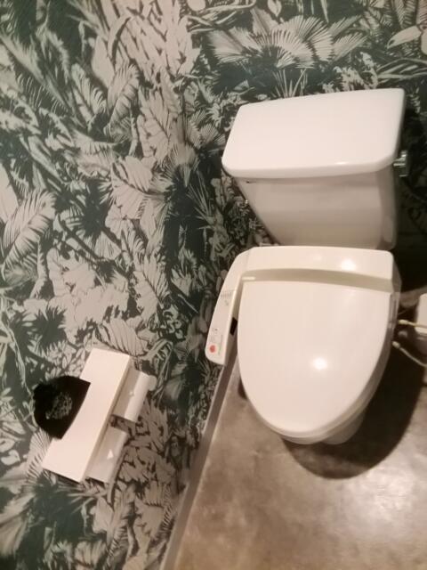 セッティングザシーン厚木(厚木市/ラブホテル)の写真『トイレです。(203号室利用。20,12)』by キジ