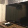 池袋パークサイドホテル(豊島区/ラブホテル)の写真『503号室(モデレート) 大型画面TV』by ACB48