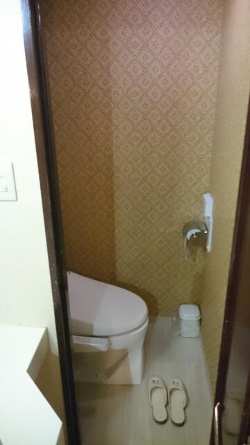 RING MY BELL（リングマイベル）(相模原市/ラブホテル)の写真『306号室トイレ ドアを開けたところ』by angler