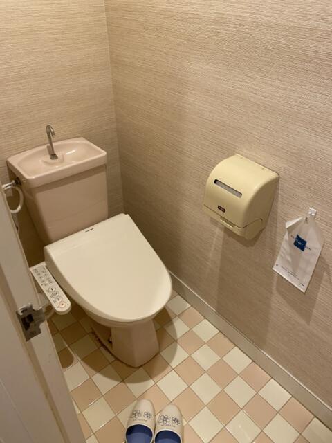 HOTEL R&N（レストアンドネスト）(蕨市/ラブホテル)の写真『305号室（トイレ）』by こねほ
