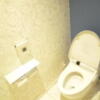 HOTEL AILU(アイル)(豊島区/ラブホテル)の写真『407号室（トイレ。ウォシュレットはTOTO製の自動開閉式）』by 格付屋