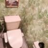 セッティングザシーン厚木(厚木市/ラブホテル)の写真『トイレです。(202号室利用21,1)』by キジ