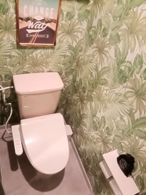 セッティングザシーン厚木(厚木市/ラブホテル)の写真『トイレです。(202号室利用21,1)』by キジ