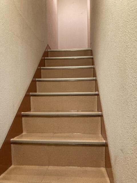 ア・プレスト(浜松市/ラブホテル)の写真『31号室室内階段』by 一刀流