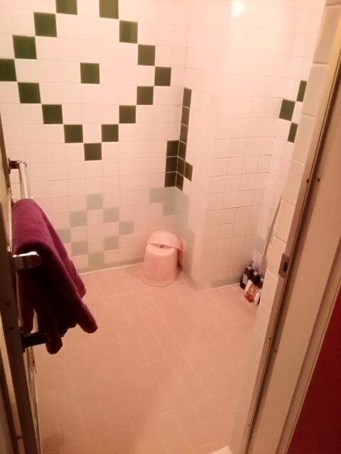 ホテル レインボー(足立区/ラブホテル)の写真『浴室です。(403号室利用21,1)』by キジ
