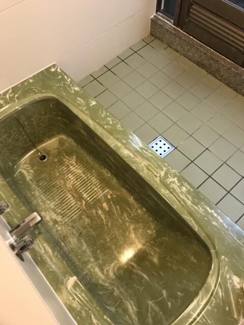 ホテル エビナ(海老名市/ラブホテル)の写真『201号室の浴室④』by 少佐