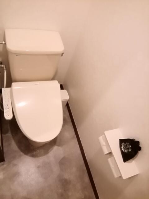 セッティングザシーン厚木(厚木市/ラブホテル)の写真『トイレです。(513号室利用21,1)』by キジ