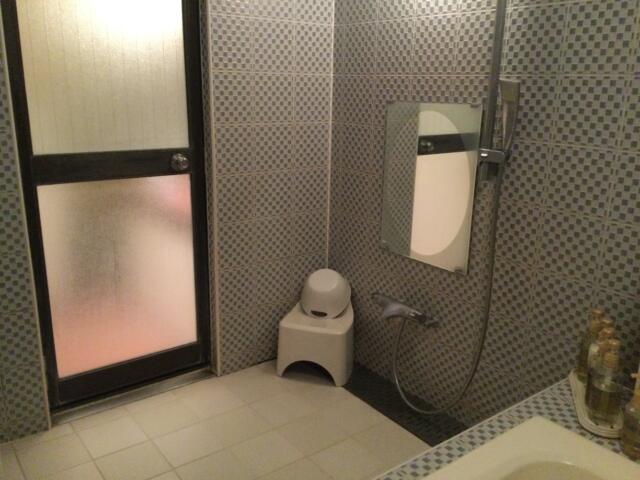 ラピア(新宿区/ラブホテル)の写真『306号室 浴室』by ACB48