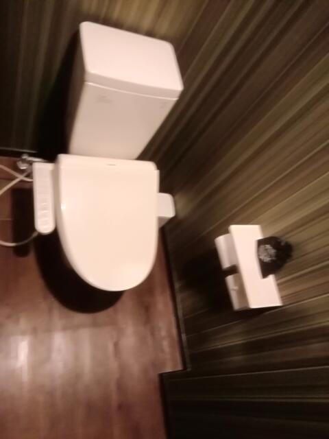 セッティングザシーン厚木(厚木市/ラブホテル)の写真『トイレです。(308号室21,1)』by キジ