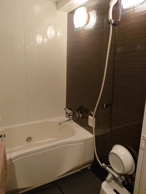ホテル ピュア・アジアン(墨田区/ラブホテル)の写真『301号室、浴室』by 爽やかエロリーマン