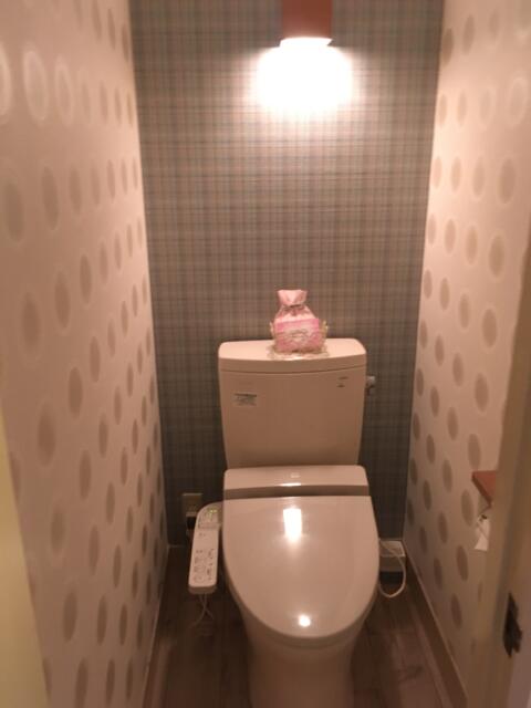 ドルフィン(八王子市/ラブホテル)の写真『301号室　トイレ』by キルメス