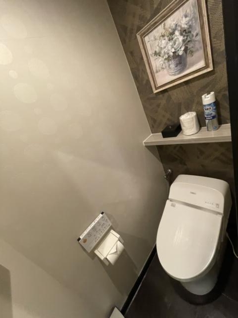 HOTEL ALL-INN G（オールインジー）(豊島区/ラブホテル)の写真『805号室のトイレ』by miffy.GTI